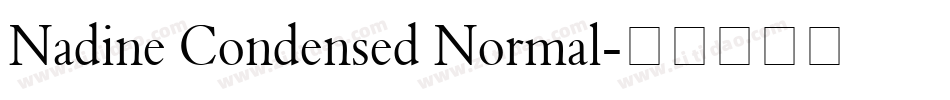 Nadine Condensed Normal字体转换